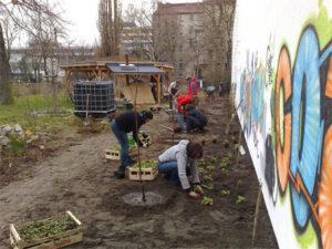 Menschen bepflanzen Beete an einer bunt besprühten Mauer